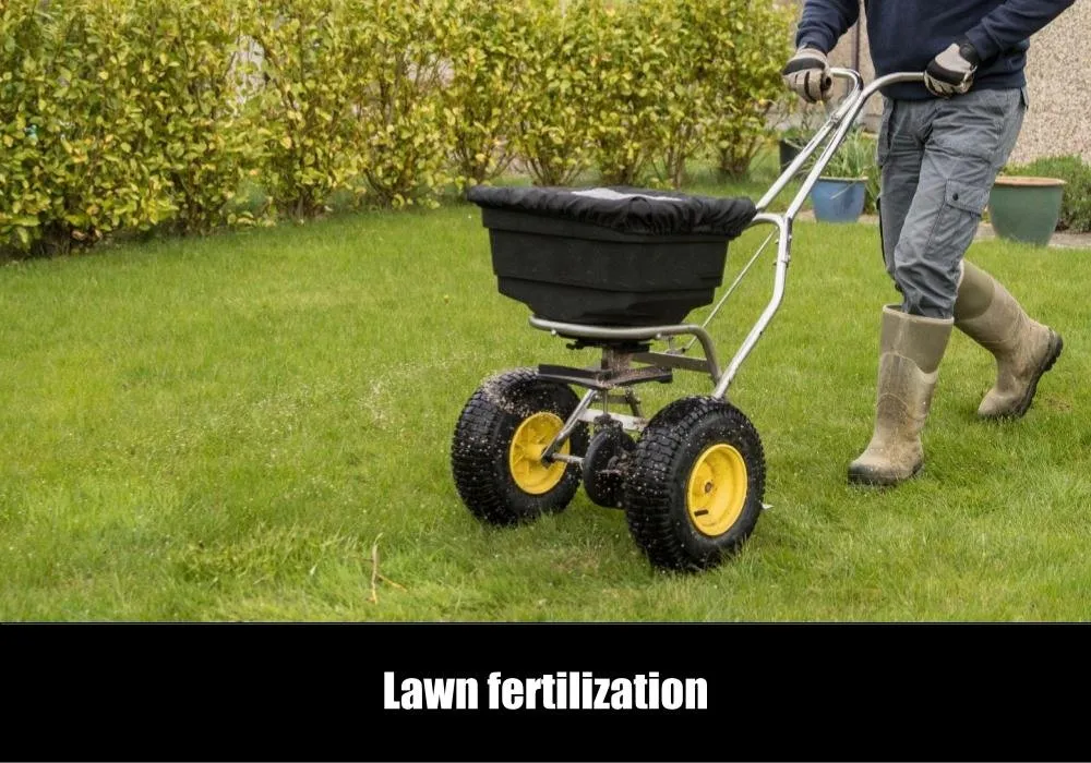 Trusted landscape design for outdoor upgrades in Chattanooga, TN by eGreen Lawn Pros