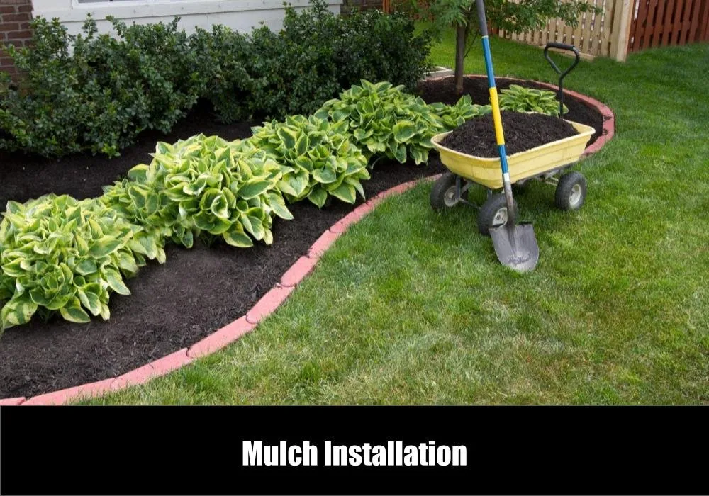 Reliable outdoor landscaping experts serving Chattanooga, TN - eGreen Lawn Pros