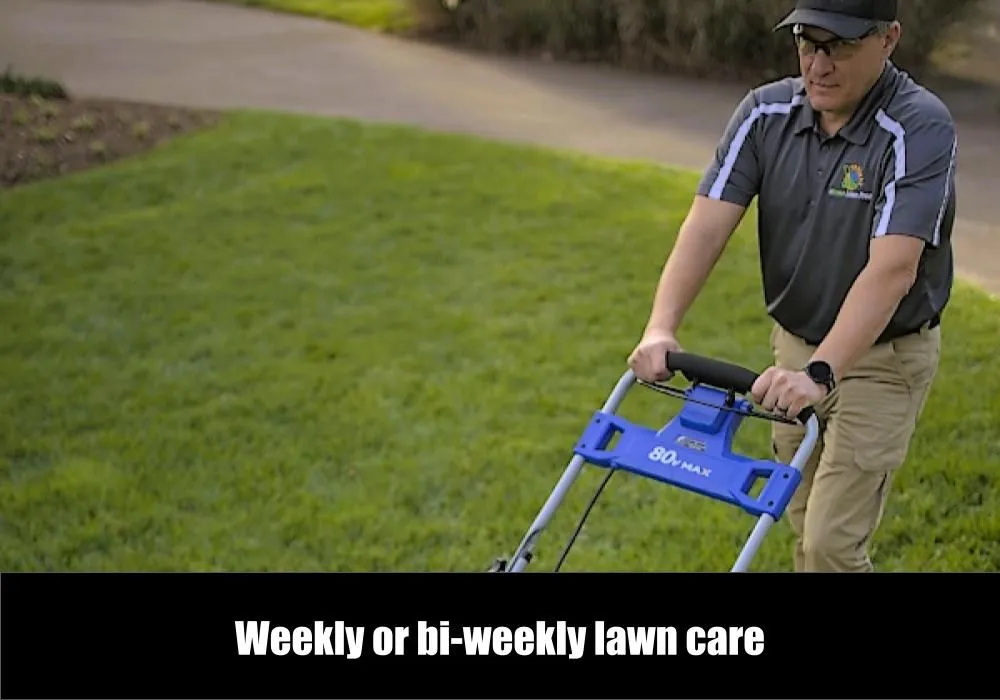 Custom landscape design in Chattanooga, TN - eGreen Lawn Pros