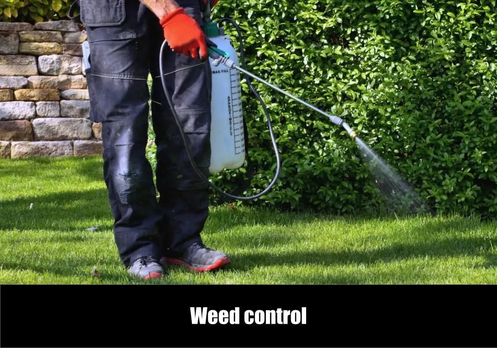 Local lawn care service in Chattanooga, TN by eGreen Lawn Pros