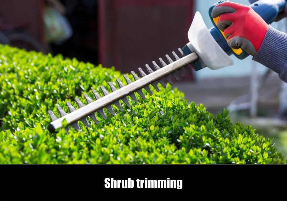 Local yard maintenance for residential properties in Chattanooga, TN by eGreen Lawn Pros