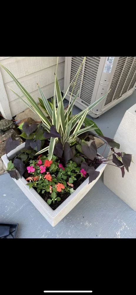 Trusted landscape design in Azle, TX by Eguez Landscaping