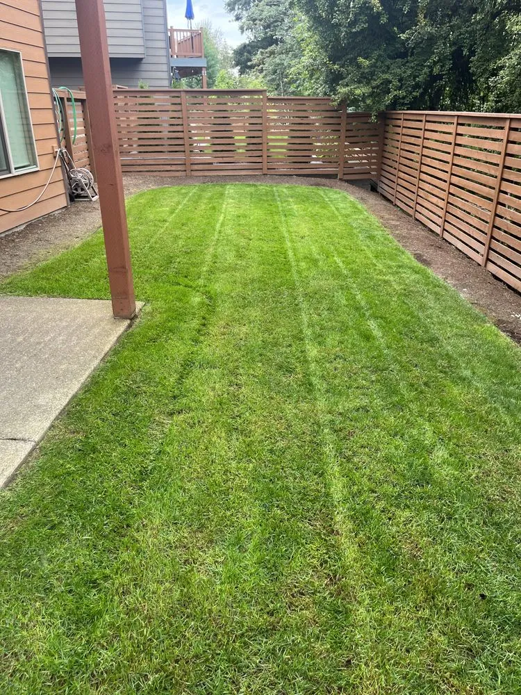 Top-rated yard maintenance for outdoor upgrades in Kent, WA by Egv Landscaping