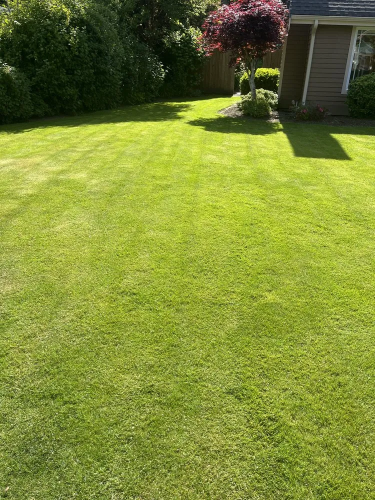 Professional outdoor landscaping with custom design in Kent, WA by Egv Landscaping