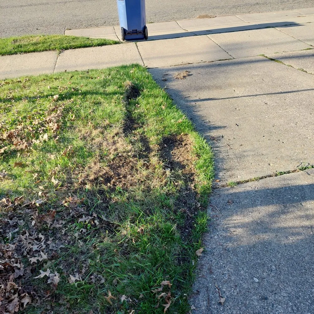 Reliable yard cleanup service in Grand Rapids, MI - Egypt Creek Lawn Care