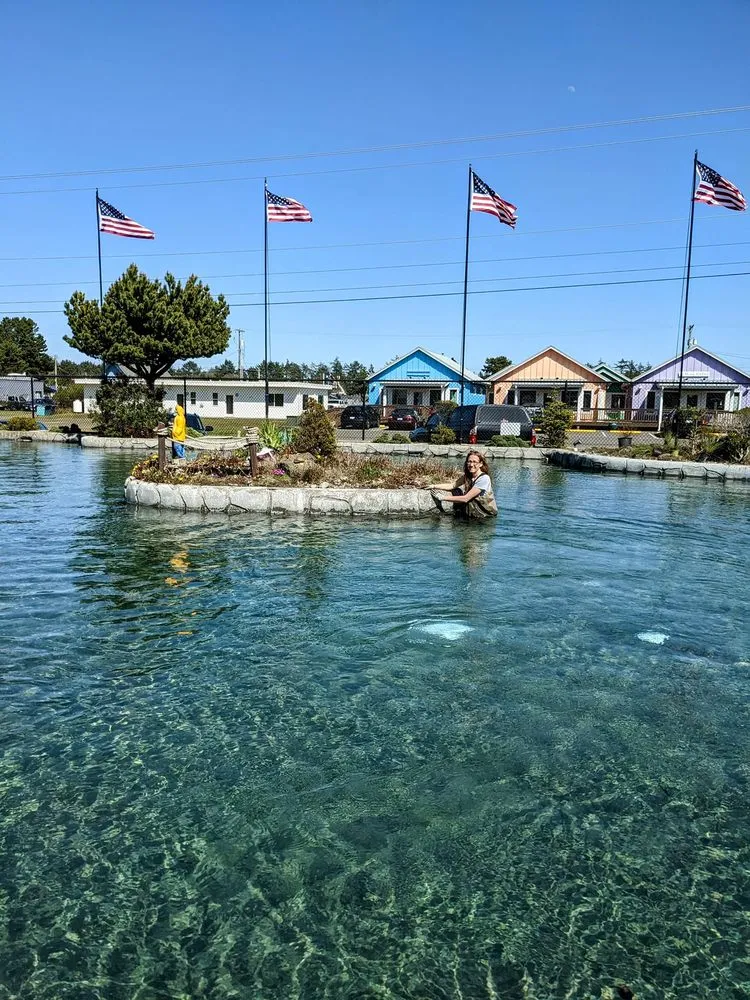 Top-rated landscape installation for outdoor upgrades across Aberdeen, WA - E&H landscape service