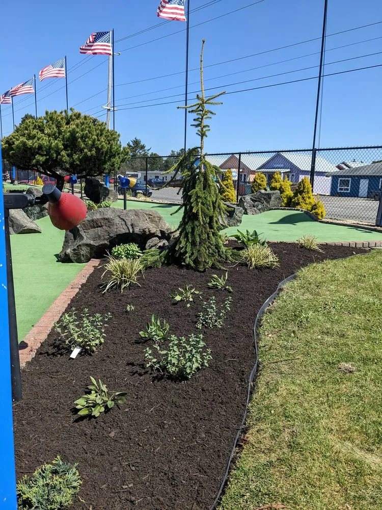 Local yard cleanup service in Aberdeen, WA by E&H landscape service