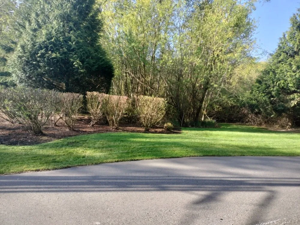Reliable lawn care service experts serving Kent, WA - E&h Landscaping