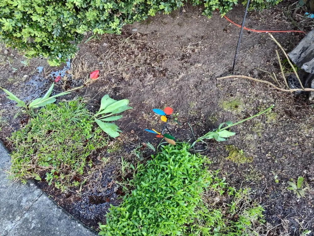 Reliable outdoor landscaping with custom design in Kent, WA by E&h Landscaping