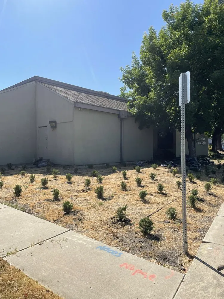 Trusted yard cleanup service for residential properties in Stockton, CA by EH Landscaping