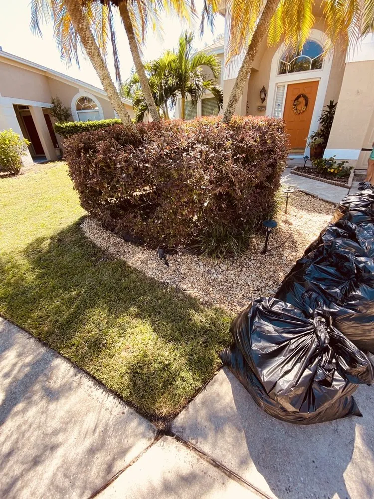 Reliable landscaping services in Orlando, FL - E&H Lawn Services