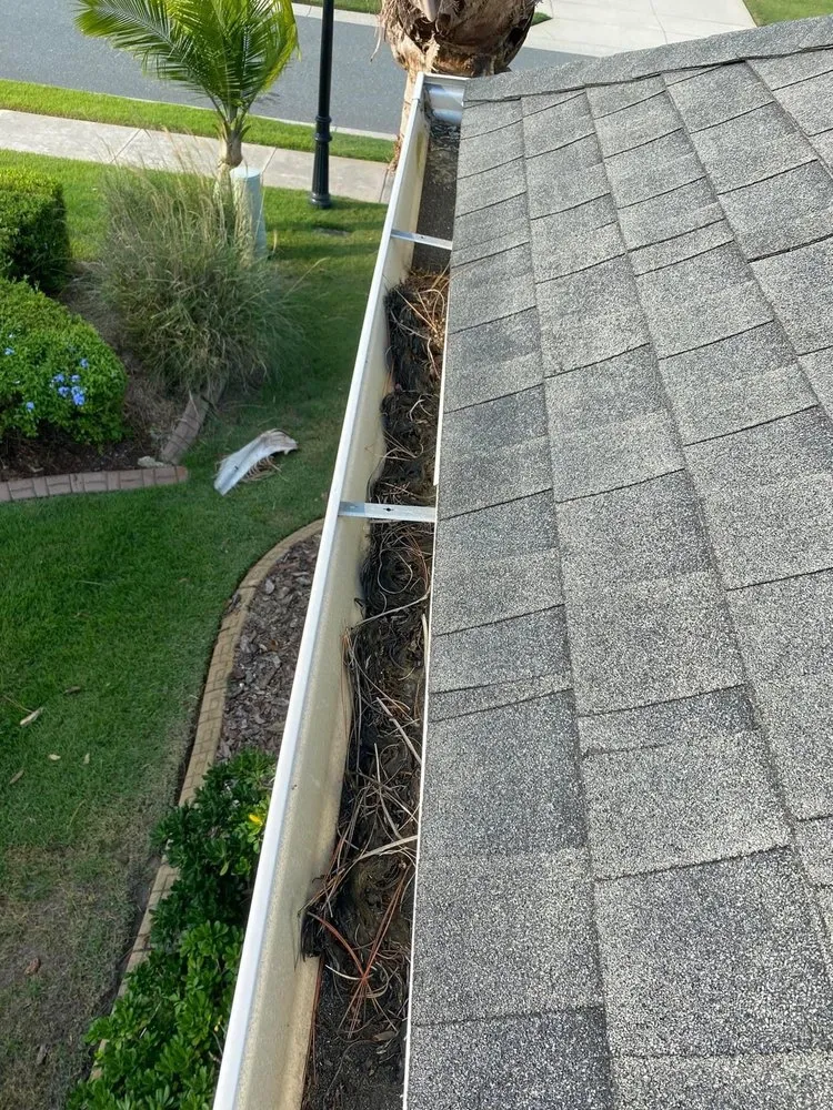 Custom lawn mowing service for year-round maintenance in Orlando, FL by E&H Lawn Services