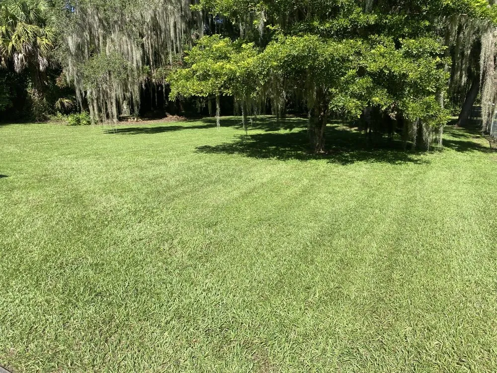 Reliable landscape design in Orlando, FL by E&H Lawn Services