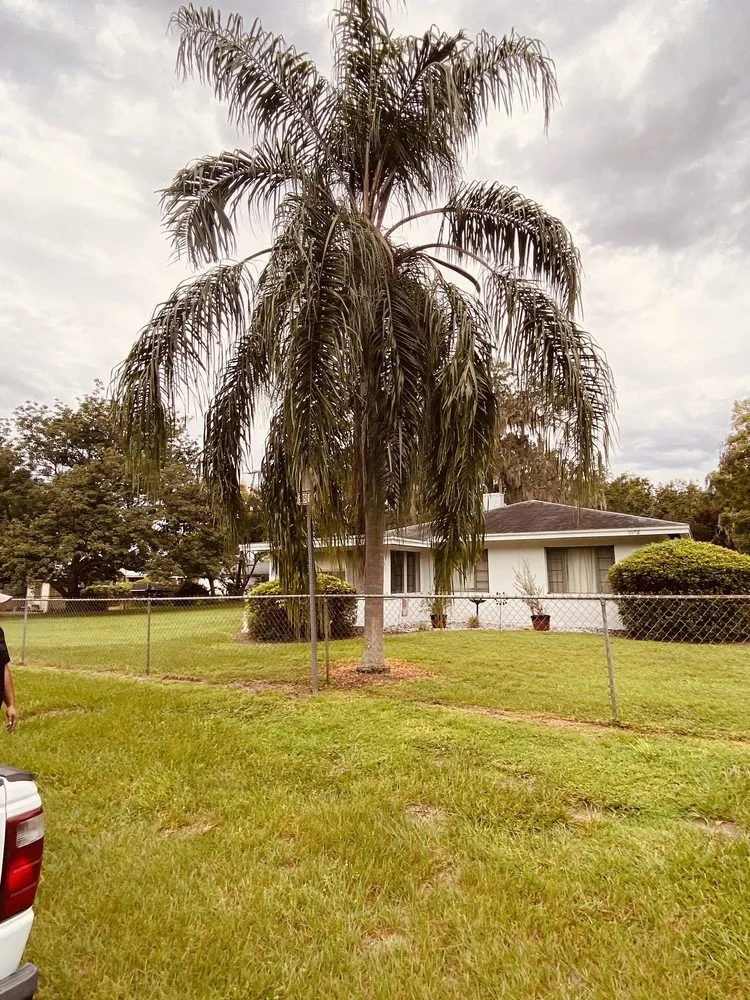 Expert lawn mowing service experts serving Orlando, FL - E&H Lawn Services