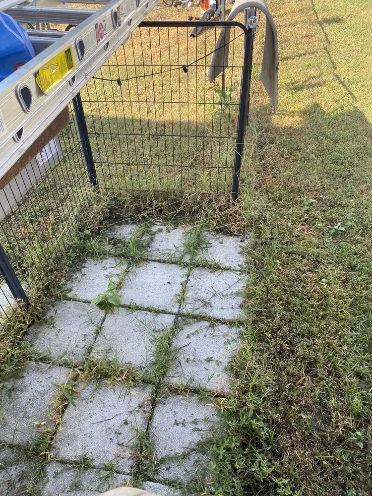 Trusted yard cleanup service in Orlando, FL by E&H Lawn Services