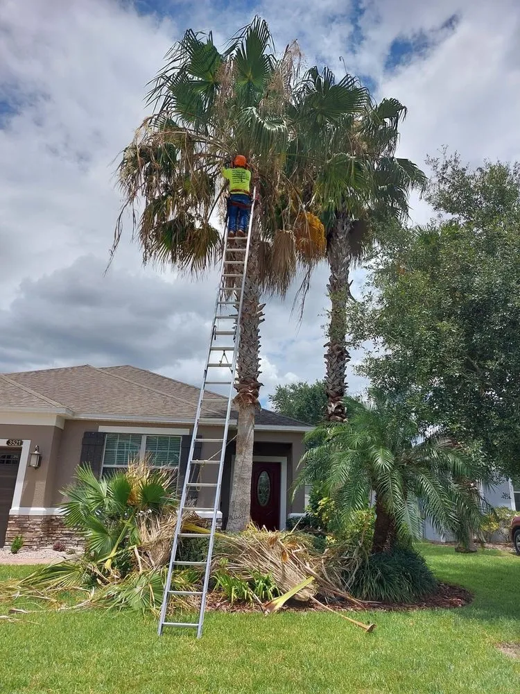 Professional landscape design for outdoor upgrades in Orlando, FL by E&H Lawn Services