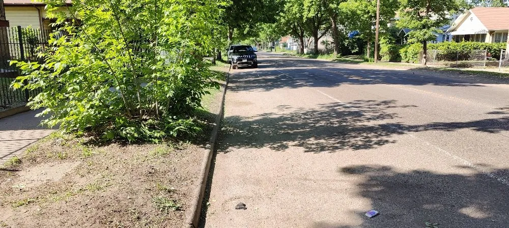 Local outdoor landscaping in Minneapolis, MN by E&H Lawncare and Snow Removal