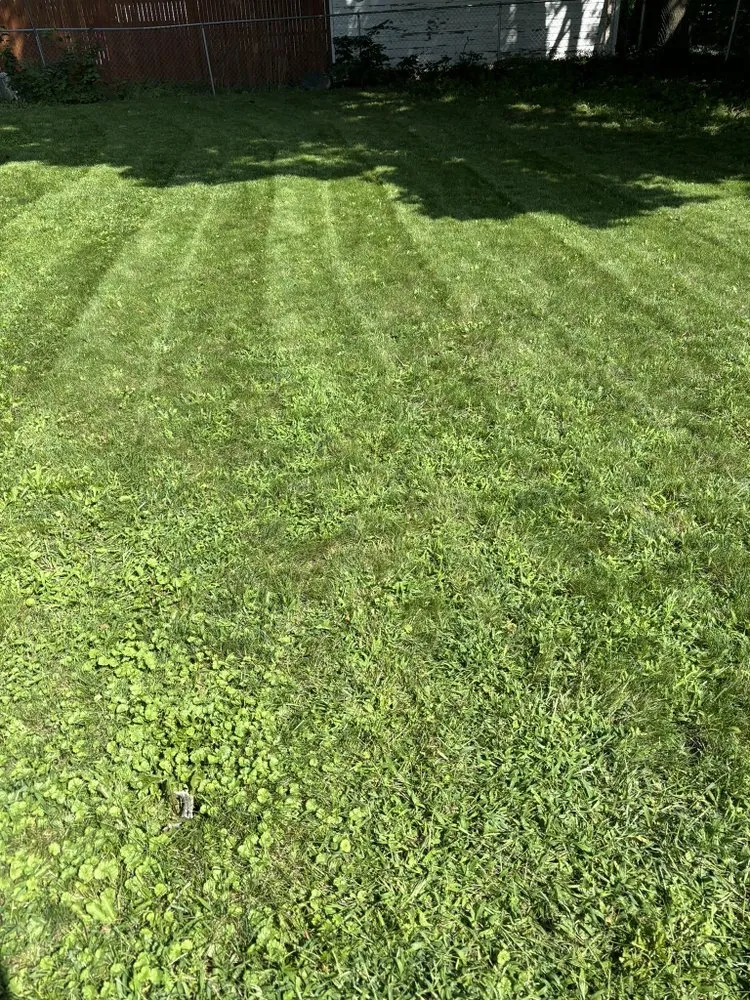 Top-rated landscape design experts serving Elmira Heights, NY - EH Rakers Lawncare