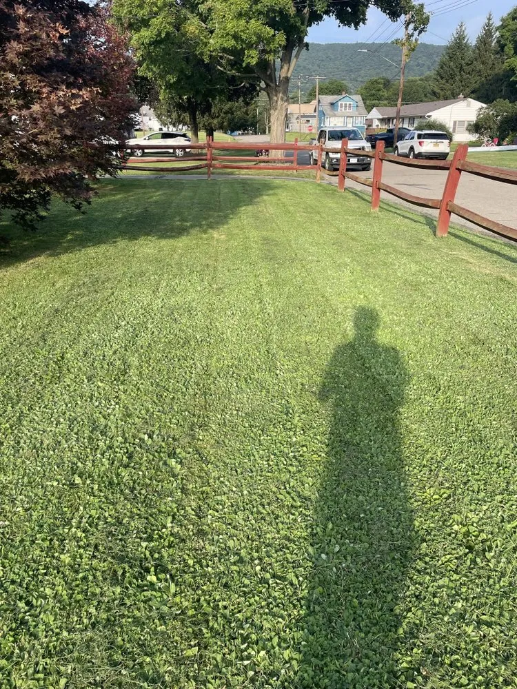 Affordable yard cleanup service for beautiful yards in Elmira Heights, NY by EH Rakers Lawncare
