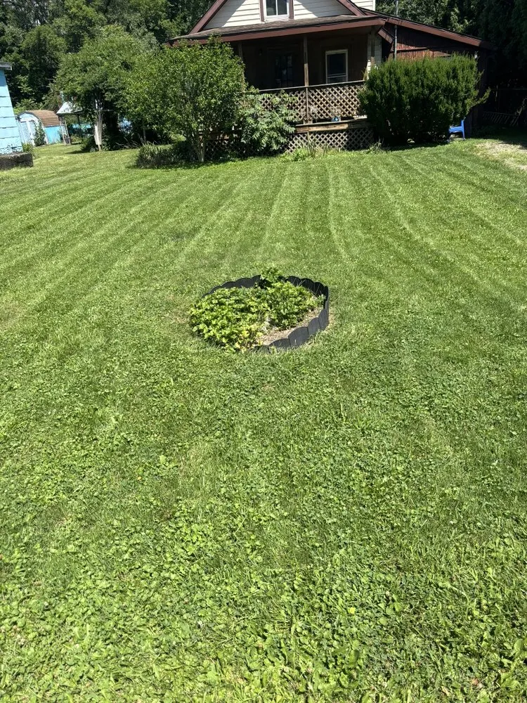 Expert yard cleanup service for homes across Elmira Heights, NY - EH Rakers Lawncare