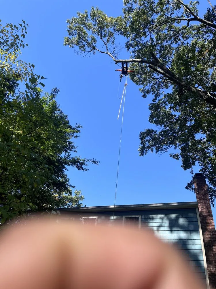 Professional residential landscaping in Peekskill, NY - E&H Tree Service/ Landscaping