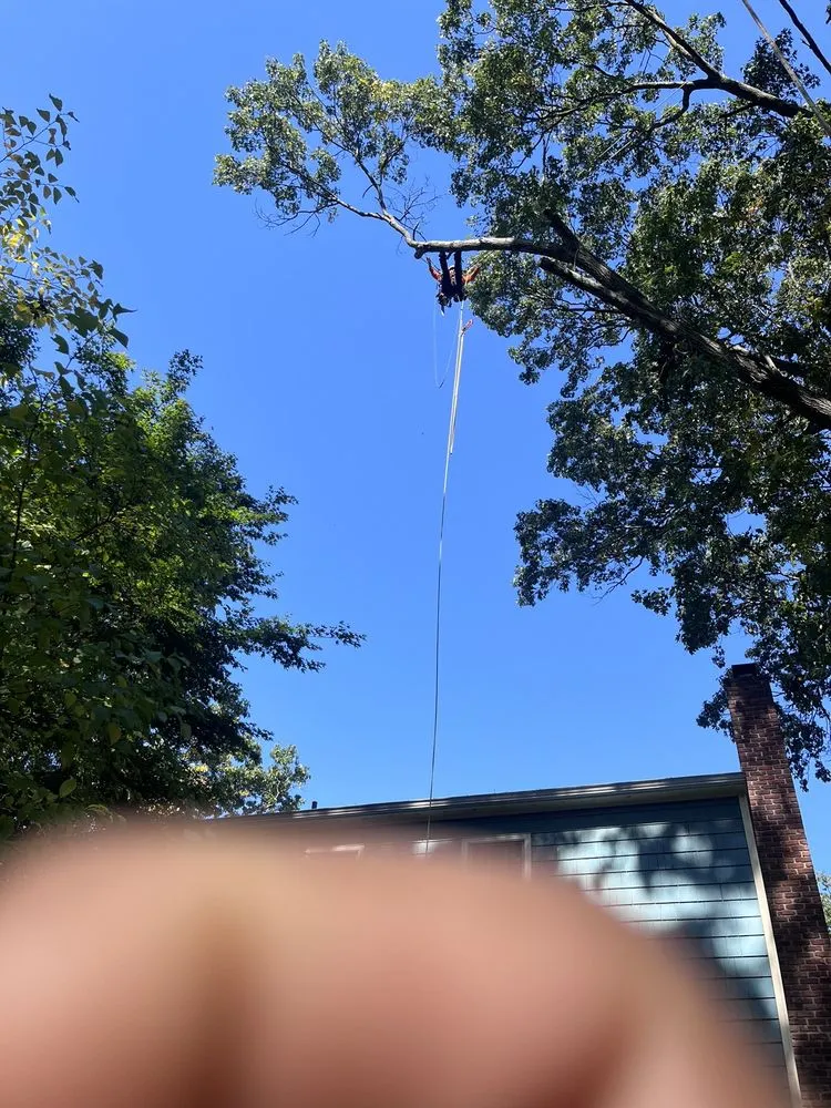 Trusted lawn mowing service for residential properties across Peekskill, NY - E&H Tree Service/ Landscaping