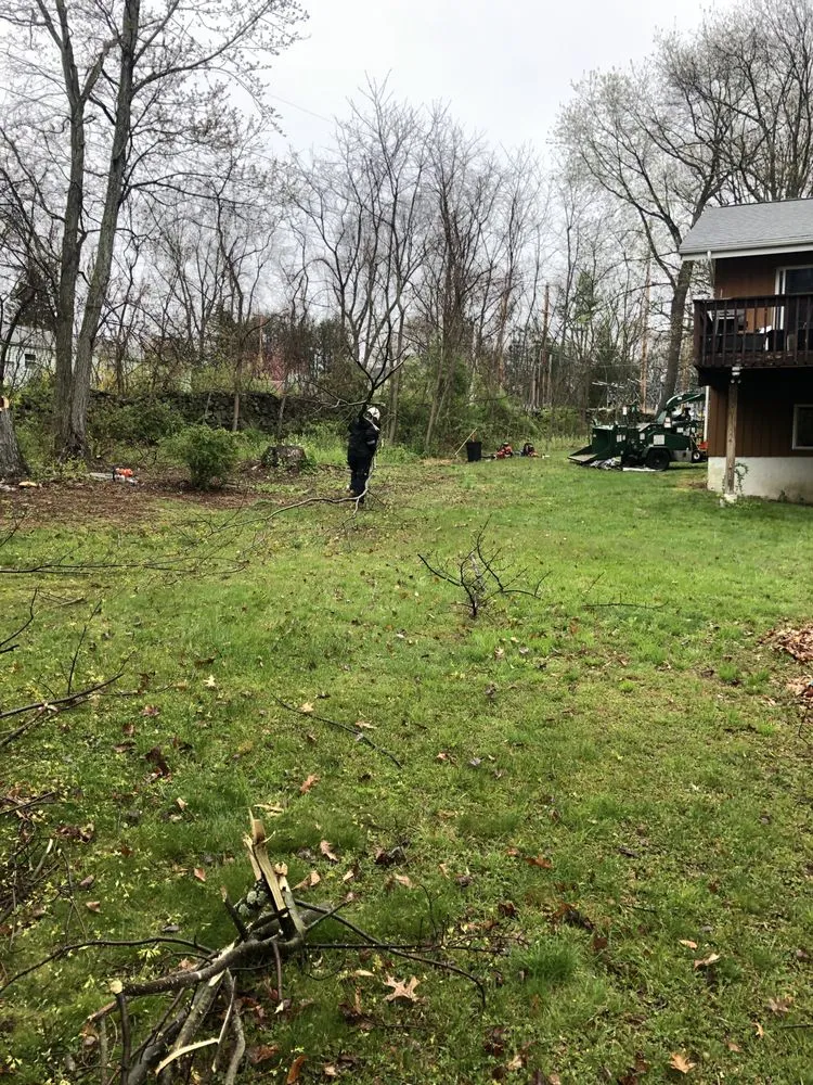 Expert lawn care service experts serving Peekskill, NY - E&H Tree Service/ Landscaping