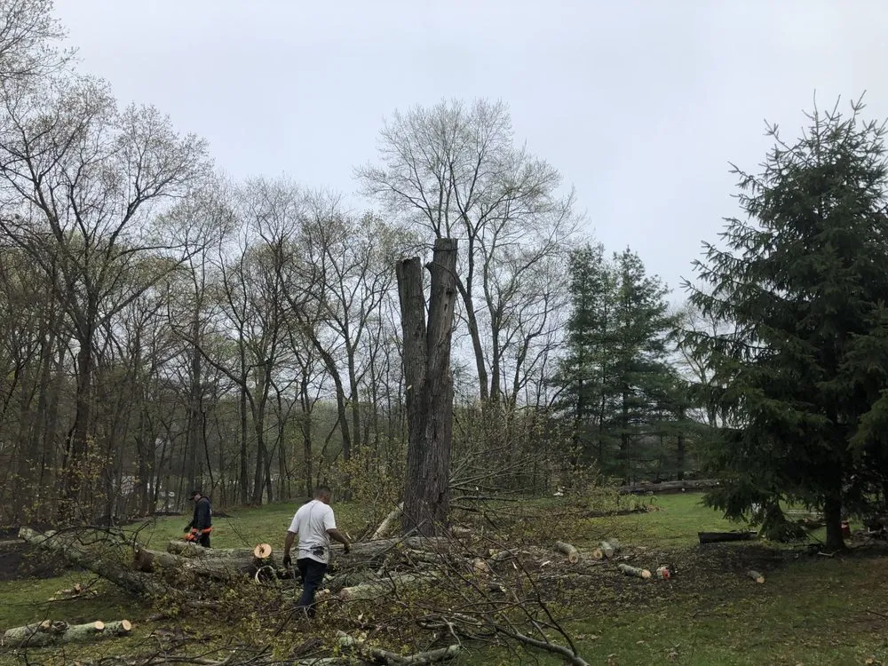 Expert residential landscaping in Peekskill, NY - E&H Tree Service/ Landscaping
