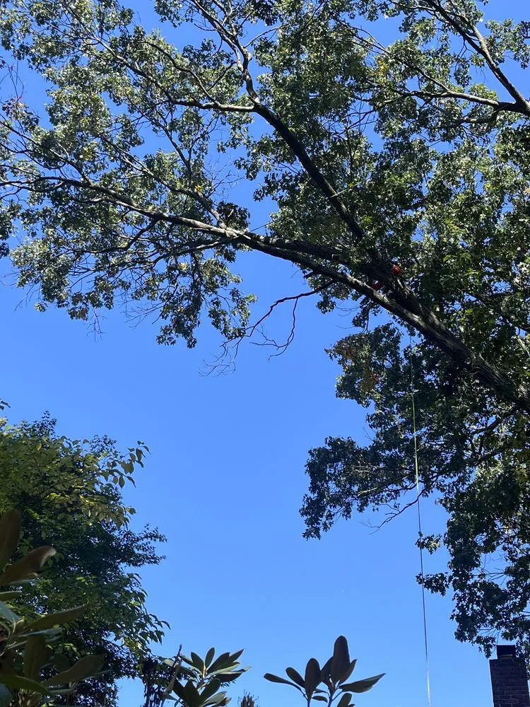 Custom landscape installation in Peekskill, NY by E&H Tree Service/ Landscaping