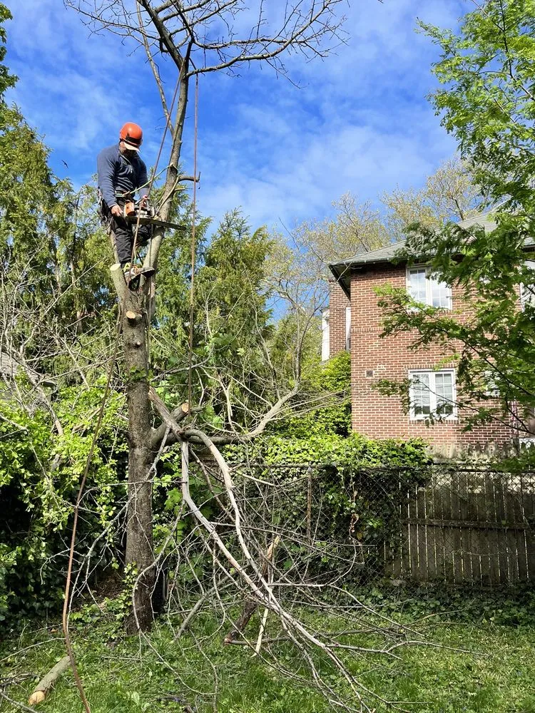 Local lawn care service in Peekskill, NY by E&H Tree Service/ Landscaping