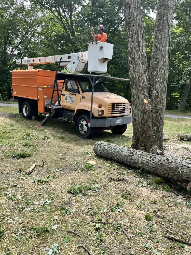 Affordable garden landscaping with custom design across Peekskill, NY - E&H Tree Service/ Landscaping