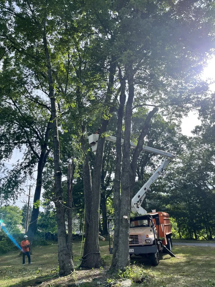 Professional residential landscaping for residential properties across Peekskill, NY - E&H Tree Service/ Landscaping