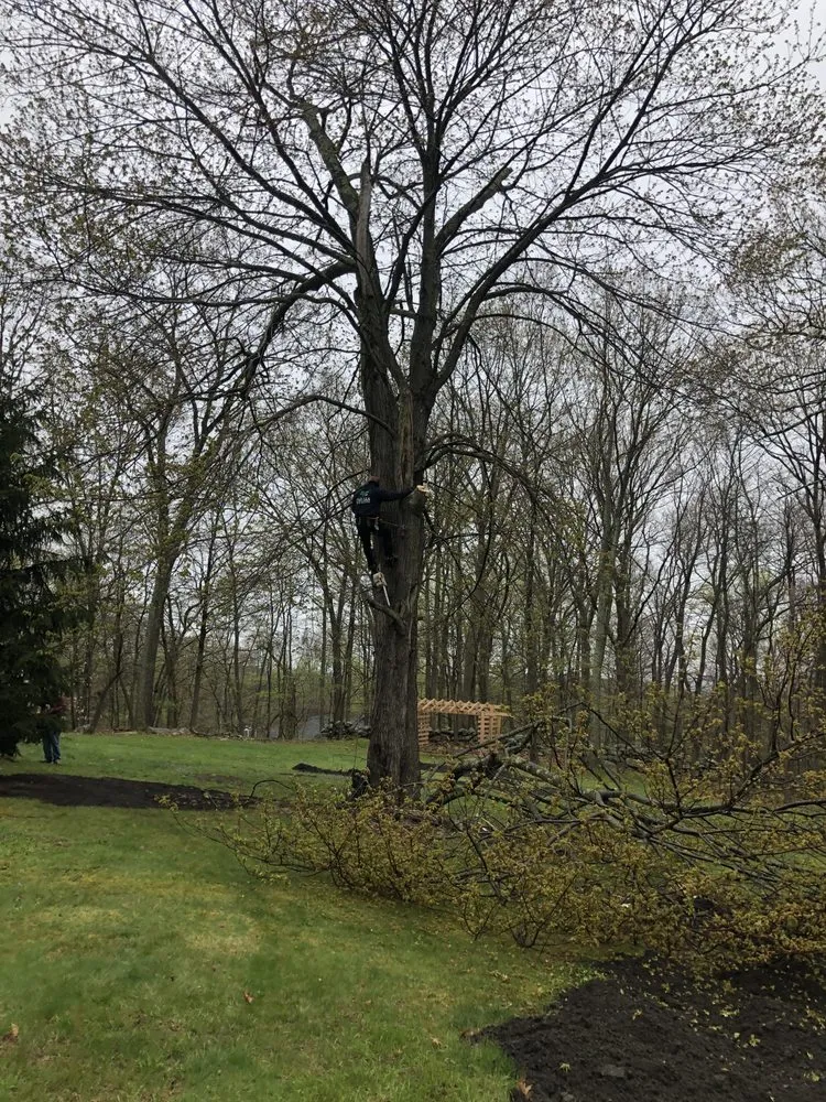 Reliable landscaping services experts serving Peekskill, NY - E&H Tree Service/ Landscaping