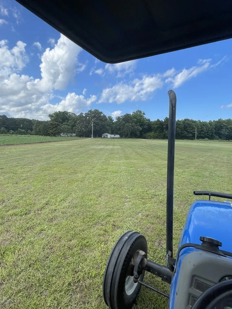 Custom yard cleanup service in Deep Run, NC - EHJ Services