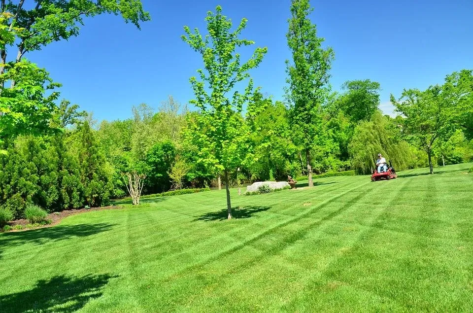 Reliable outdoor landscaping in St Joseph, MN by Ehlinger Lawn Service