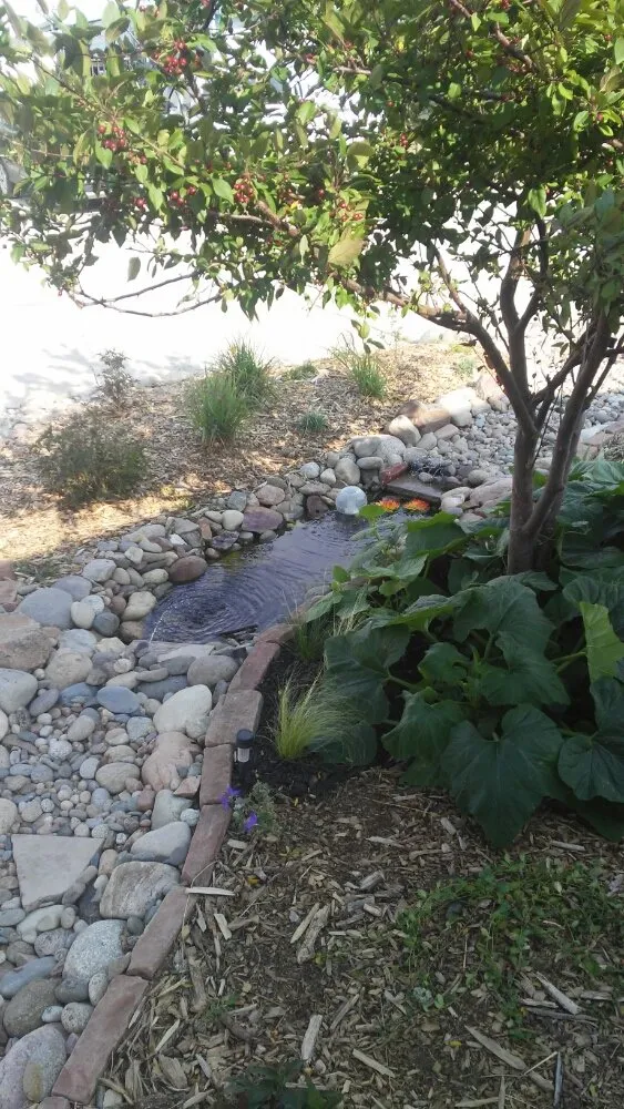 Local garden landscaping for residential properties in Kiowa, CO by Ehlrise