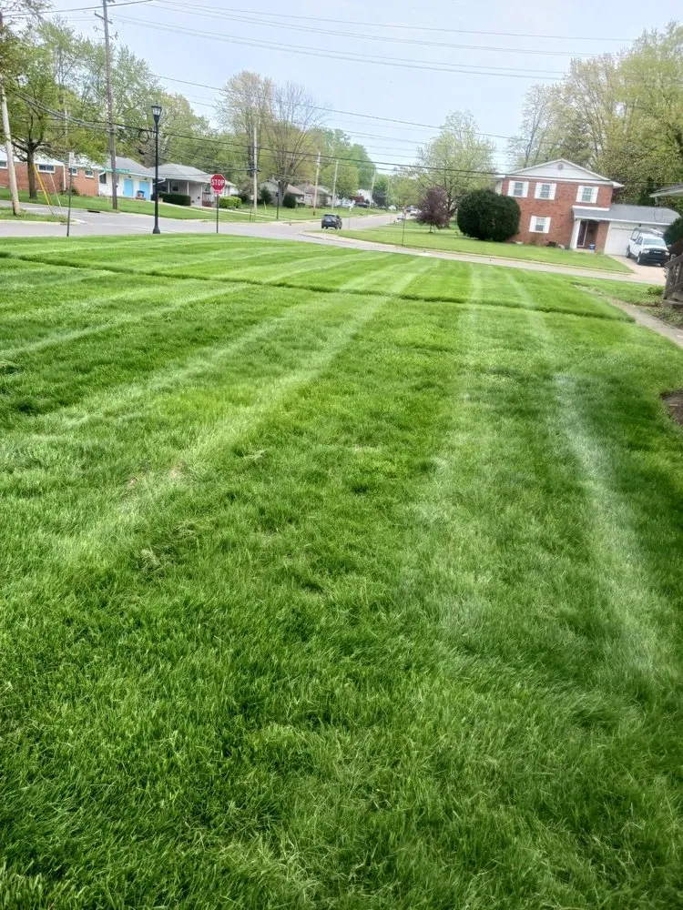 Reliable residential landscaping in South Vienna, OH by EHP Lawncare