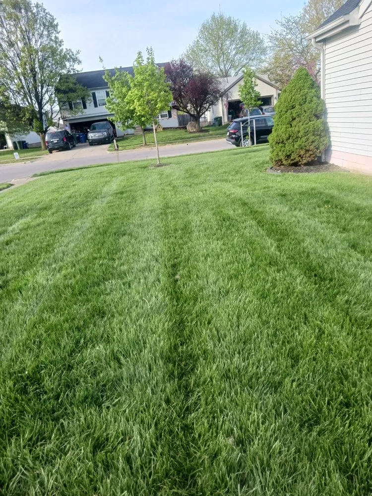 Professional yard cleanup service for residential properties in South Vienna, OH by EHP Lawncare