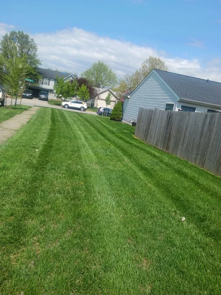 Professional yard maintenance for beautiful yards across South Vienna, OH - EHP Lawncare