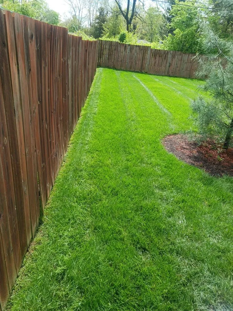 Trusted yard maintenance for year-round maintenance in South Vienna, OH by EHP Lawncare