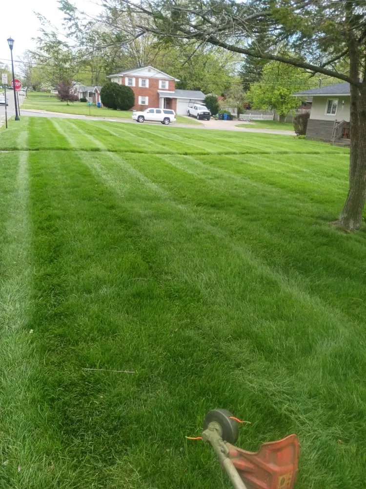 Local lawn care service for beautiful yards in South Vienna, OH by EHP Lawncare