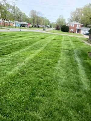 EHP Lawncare Logo