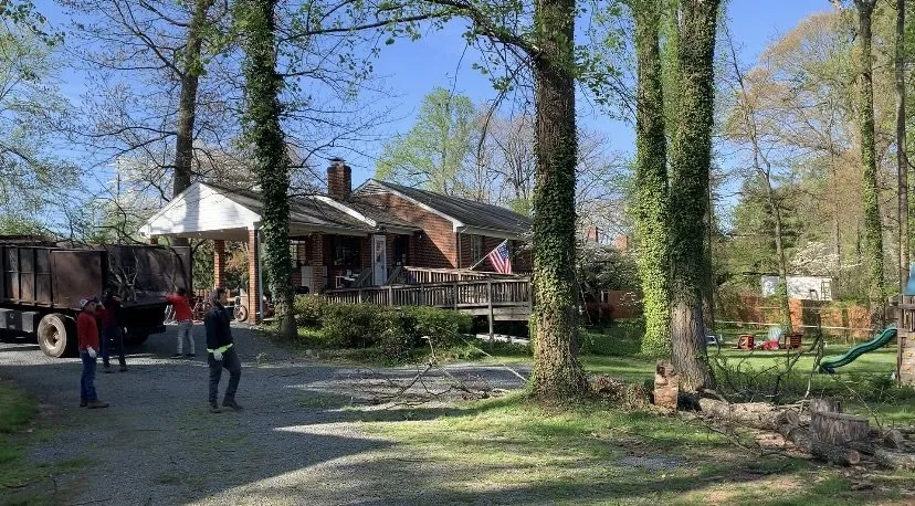 Professional outdoor landscaping for residential properties across Harrisonburg, VA - EHS Tree service