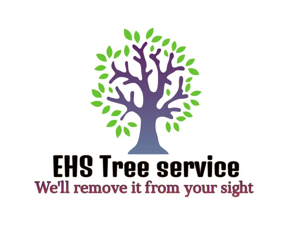 Local residential landscaping for outdoor upgrades in Harrisonburg, VA by EHS Tree service
