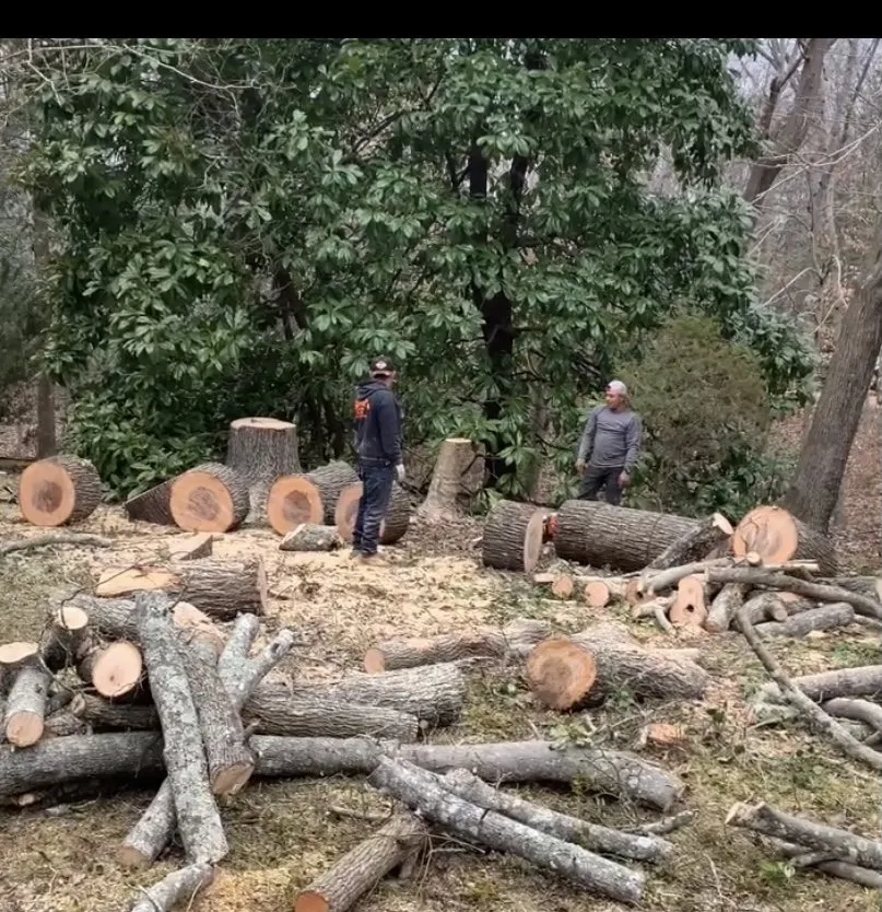 Affordable lawn mowing service for outdoor upgrades in Harrisonburg, VA by EHS Tree service