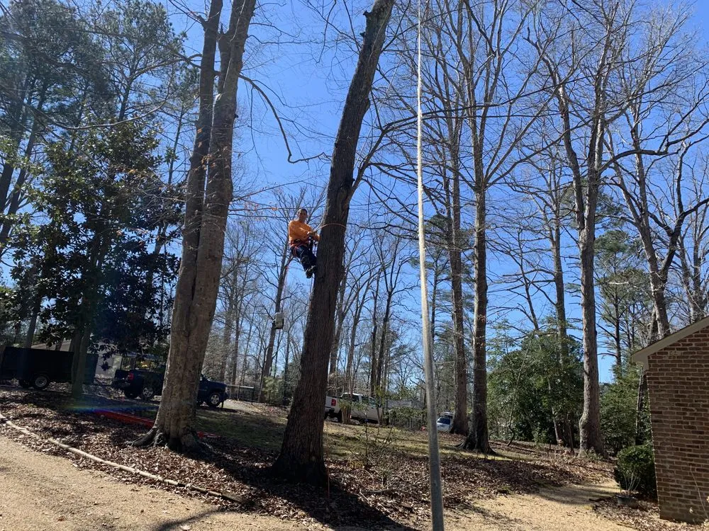 Affordable yard maintenance for year-round maintenance across Harrisonburg, VA - EHS Tree service