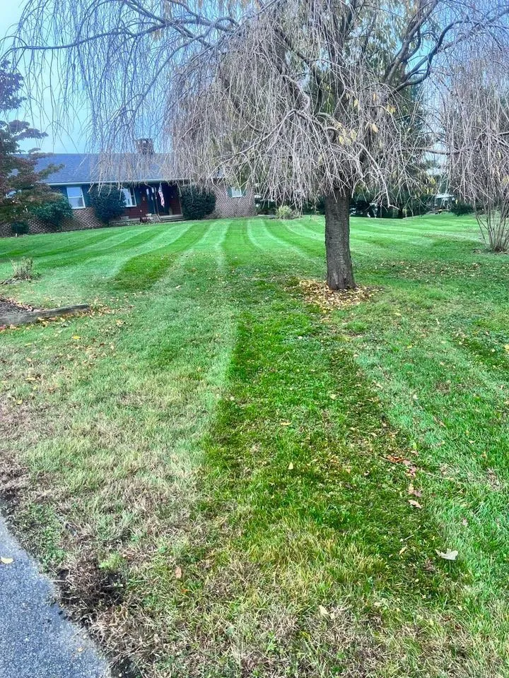 Expert lawn mowing service in Schwenksville, PA - E.Hunter Lawncare