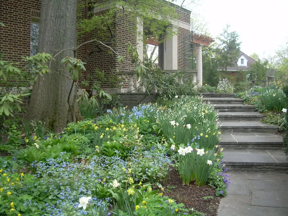 Professional yard cleanup service in Cheswick, PA by Eichenlaub