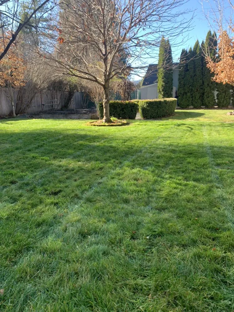 Reliable yard cleanup service for year-round maintenance across Medford, OR - Eichenlaub's Lawn Care & Clean-Up