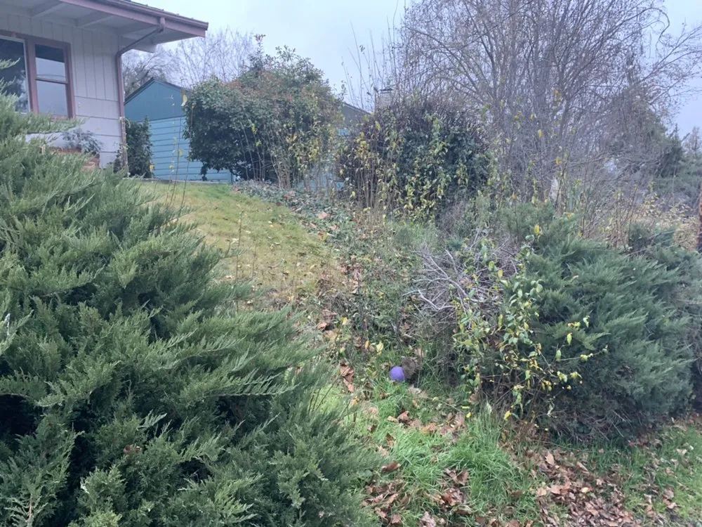 Trusted lawn care service in Medford, OR by Eichenlaub's Lawn Care & Clean-Up